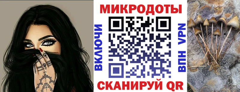 гидра ТОР  Курильск  Галлюциногенные грибы Psilocybe 